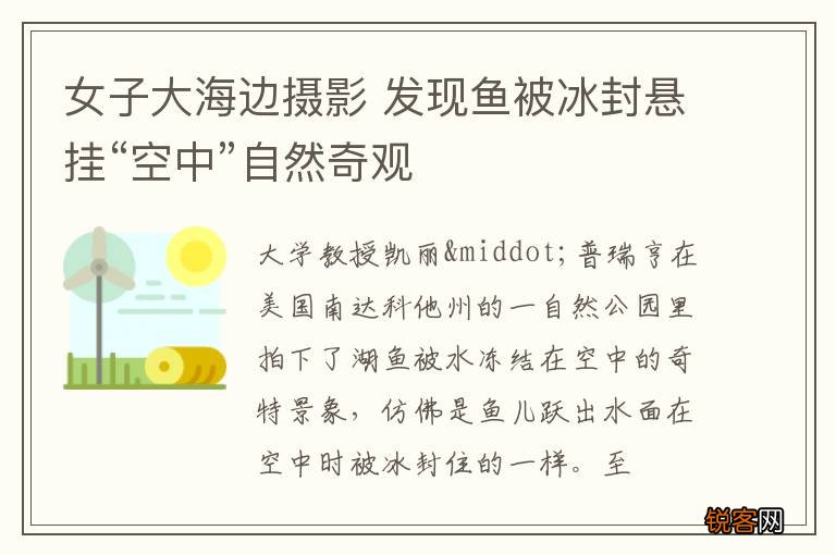 女子大海边摄影 发现鱼被冰封悬挂“空中”自然奇观