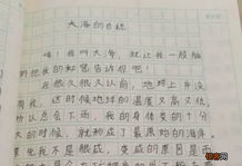 我终于见到了大海作文精选10篇