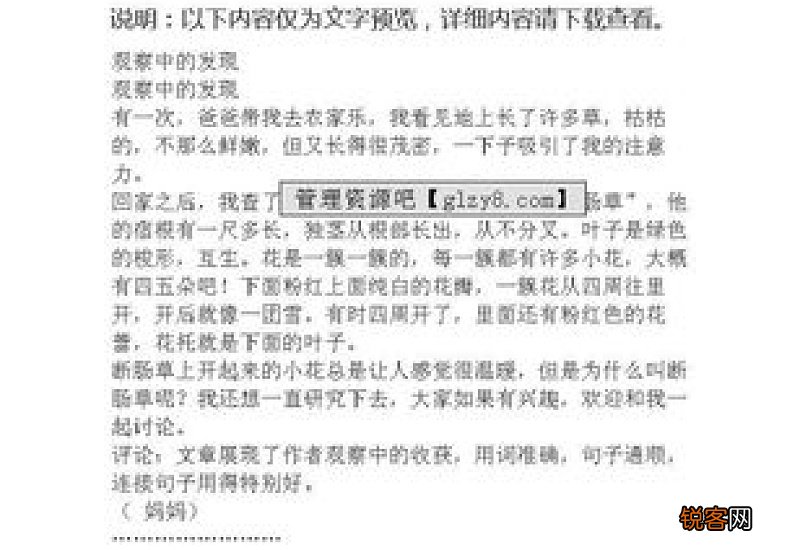 观察中的发现作文精选15篇
