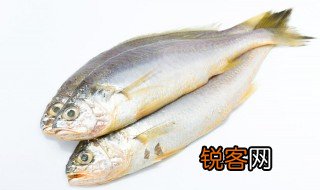 关于鱼漂鱼鳔的意思 鱼漂鱼鳔什么意思