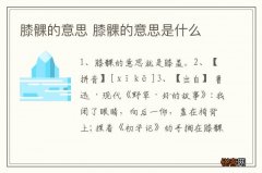 膝髁的意思 膝髁的意思是什么