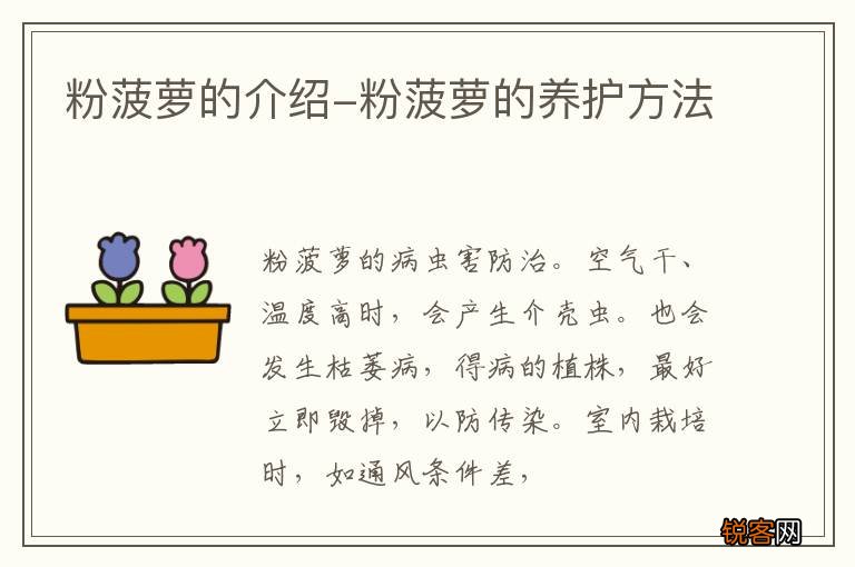 粉菠萝的介绍-粉菠萝的养护方法