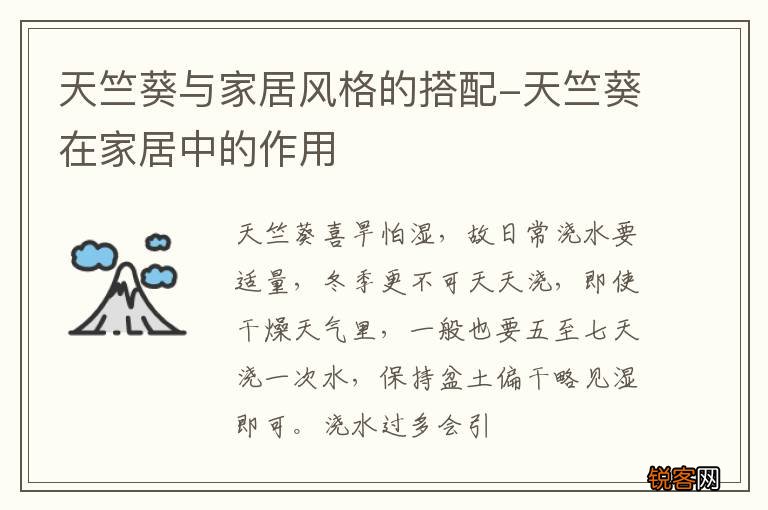 天竺葵与家居风格的搭配-天竺葵在家居中的作用