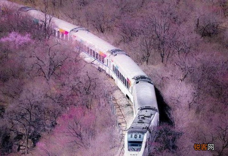2021年清明节会受疫情影响吗