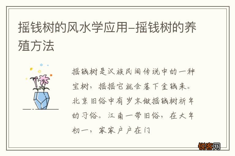 摇钱树的风水学应用-摇钱树的养殖方法