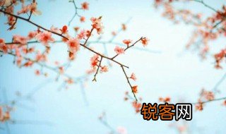 花开花落终有时的下一句是什么? 花开花落终有时的意思