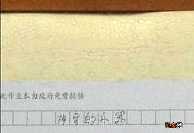 神奇的乐器200字作文3篇