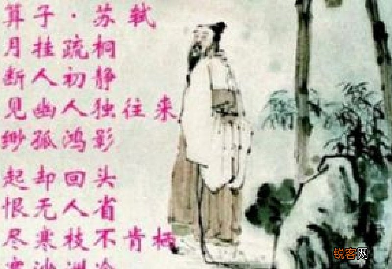拣尽寒枝不肯栖什么意思?
