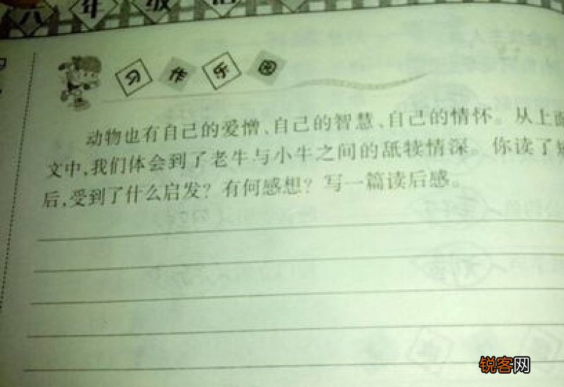 马虎的我250字作文3篇