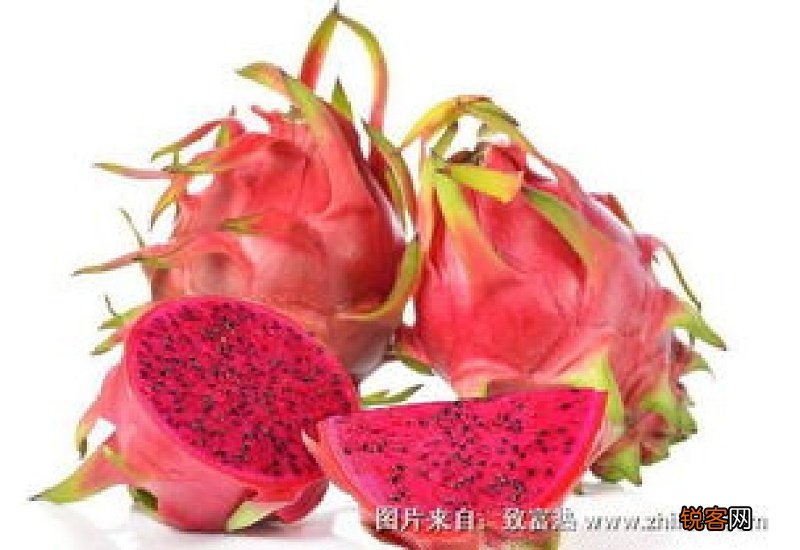 火龙果功效与作用及禁忌