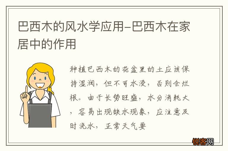 巴西木的风水学应用-巴西木在家居中的作用