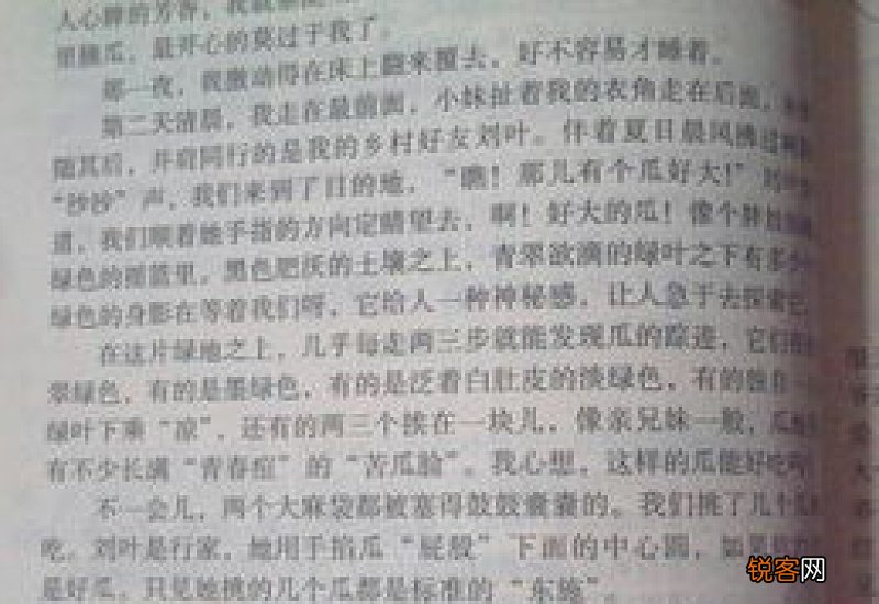 摘枇杷500字作文3篇