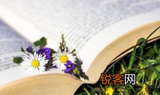 襟裾怎么读音 襟裾读法