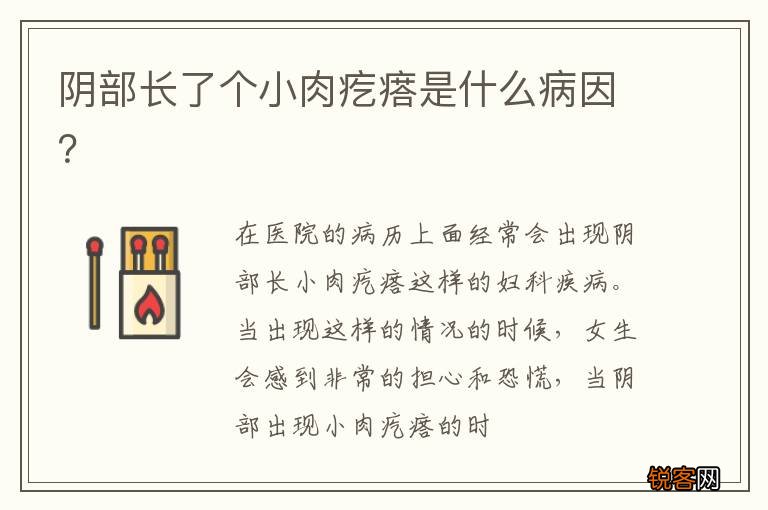阴部长了个小肉疙瘩是什么病因？