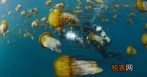 马里亚纳海沟恐怖 曾潜入海底研究员不敢再去这海域
