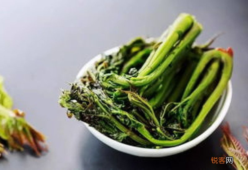 香椿切碎了腌可以吗