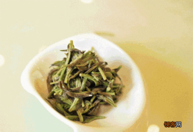 香椿腌着吃还用焯水吗