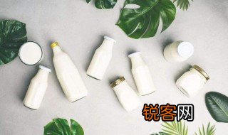 什么是乳酸菌 乳酸菌有什么作用