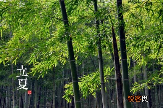 立夏是什么时候?二十四节气之立夏的由来与含义