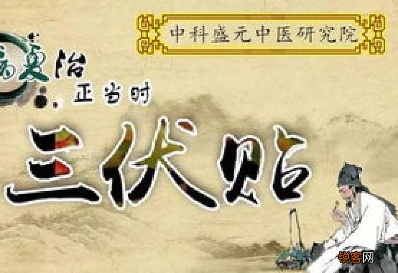 三伏贴中伏20天贴一次还是两次效果好