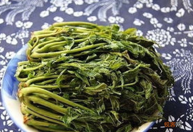 腌香椿能常温下保存吗