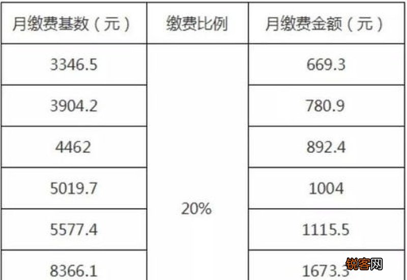 株洲灵活养老保险缴费比例是多少