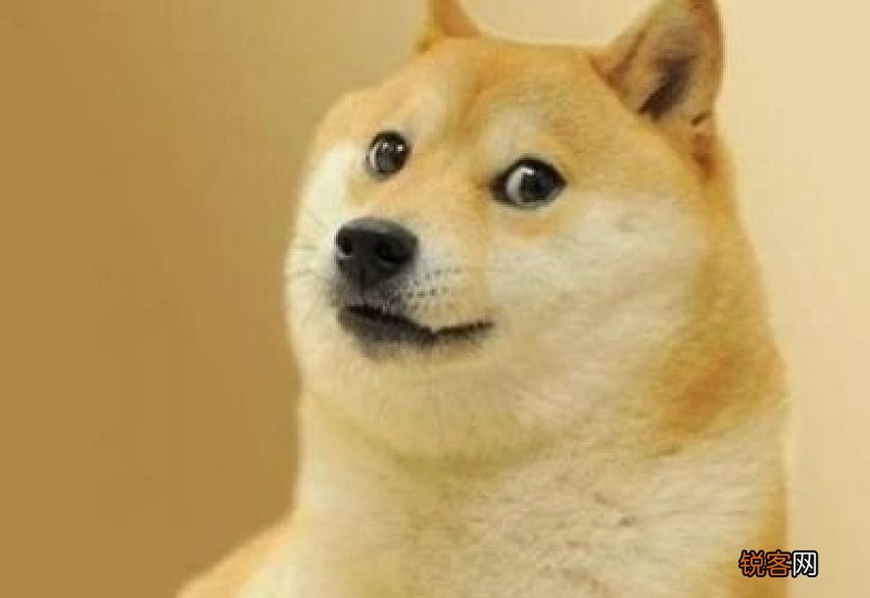 狗狗币在哪个平台上买最正规