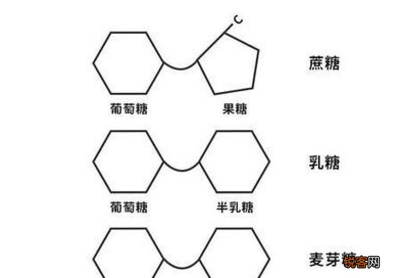 常见的二糖及其组成