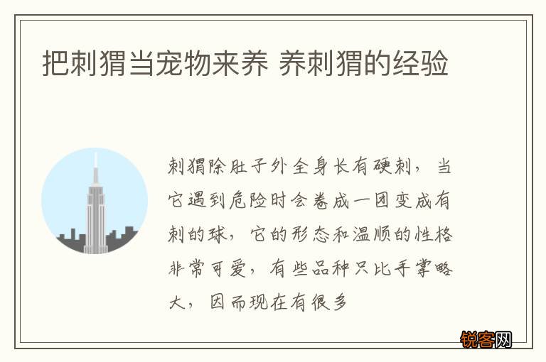 把刺猬当宠物来养 养刺猬的经验