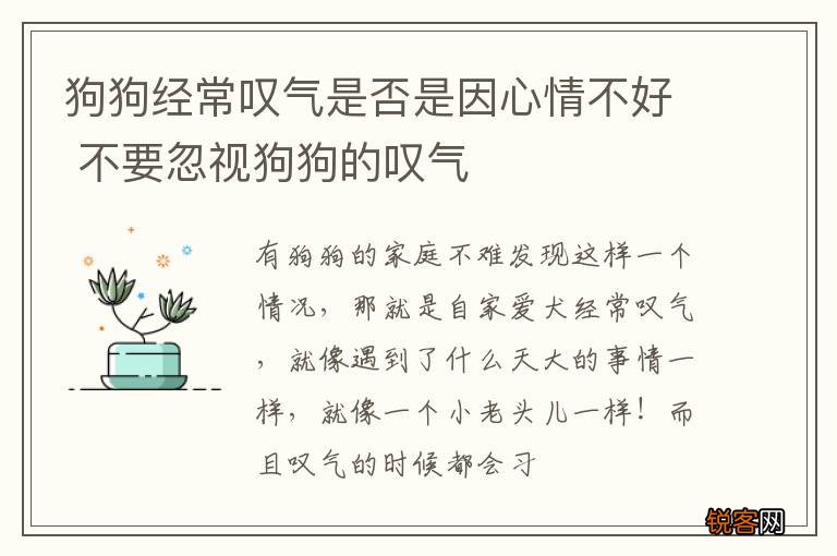 狗狗经常叹气是否是因心情不好 不要忽视狗狗的叹气