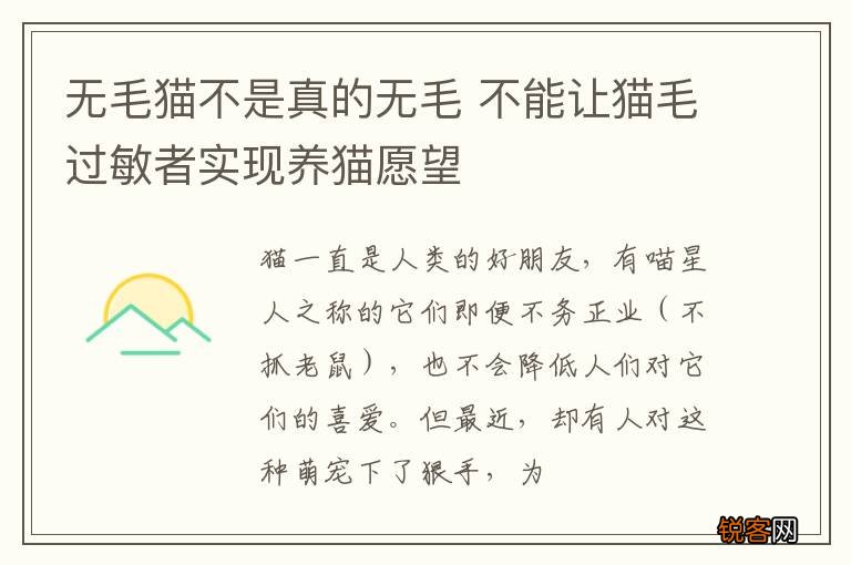 无毛猫不是真的无毛 不能让猫毛过敏者实现养猫愿望