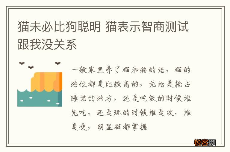 猫未必比狗聪明 猫表示智商测试跟我没关系