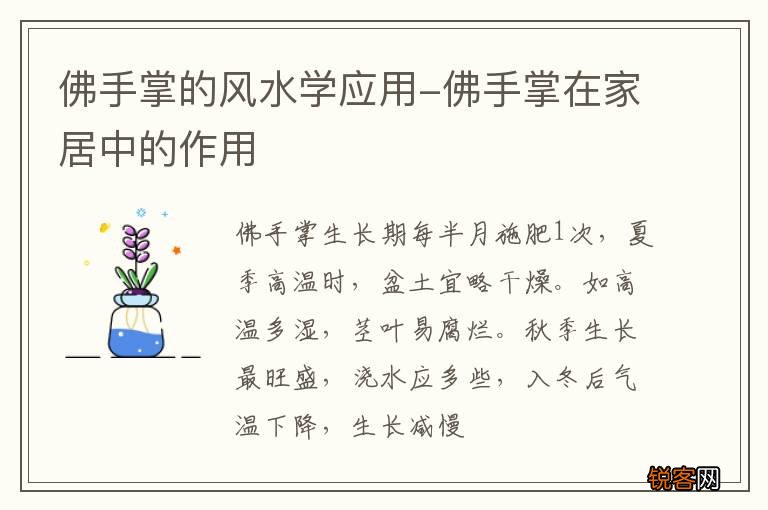 佛手掌的风水学应用-佛手掌在家居中的作用