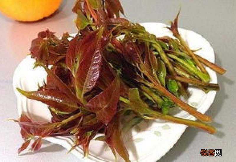 香椿不焯水吃了会怎么样