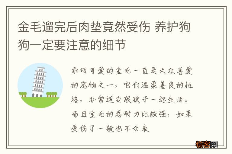 金毛遛完后肉垫竟然受伤 养护狗狗一定要注意的细节