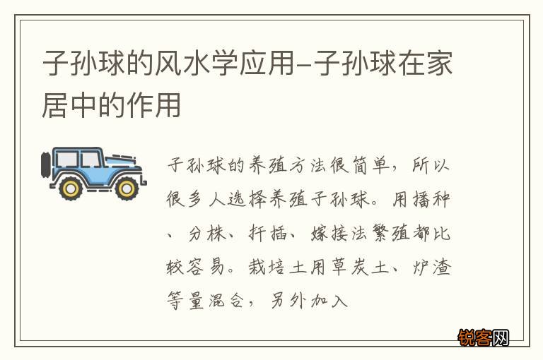 子孙球的风水学应用-子孙球在家居中的作用