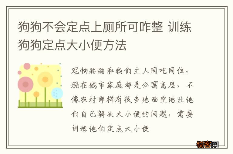 狗狗不会定点上厕所可咋整 训练狗狗定点大小便方法