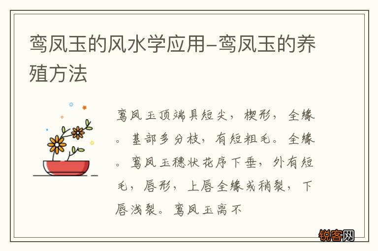 鸾凤玉的风水学应用-鸾凤玉的养殖方法