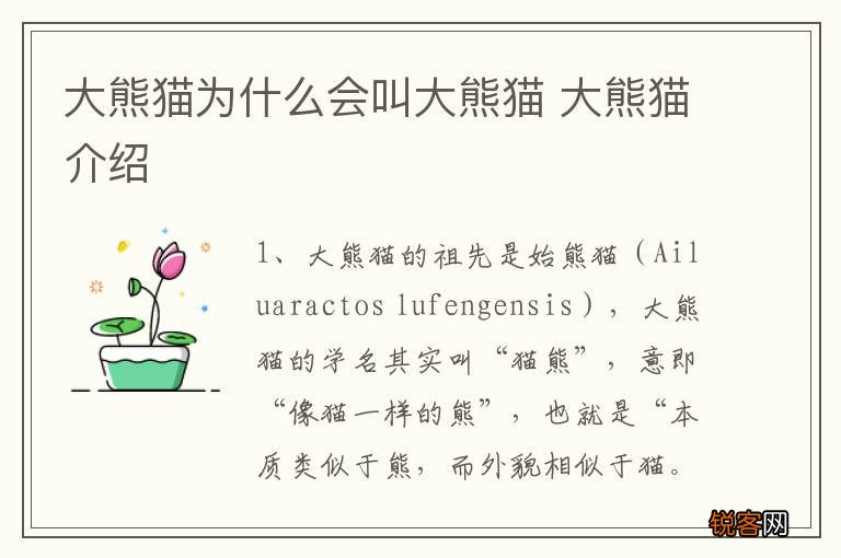 大熊猫为什么会叫大熊猫 大熊猫介绍