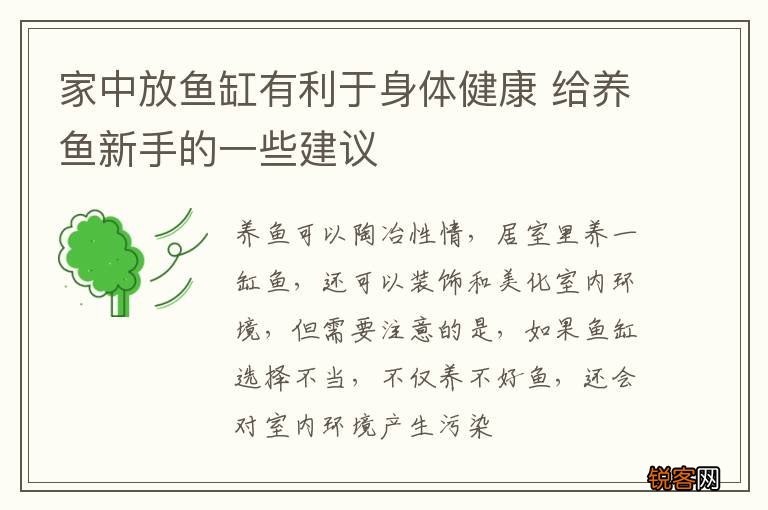 家中放鱼缸有利于身体健康 给养鱼新手的一些建议