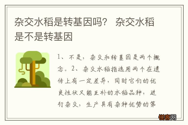杂交水稻是转基因吗？ 杂交水稻是不是转基因