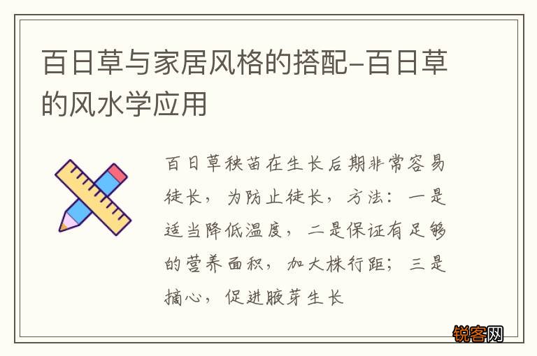 百日草与家居风格的搭配-百日草的风水学应用