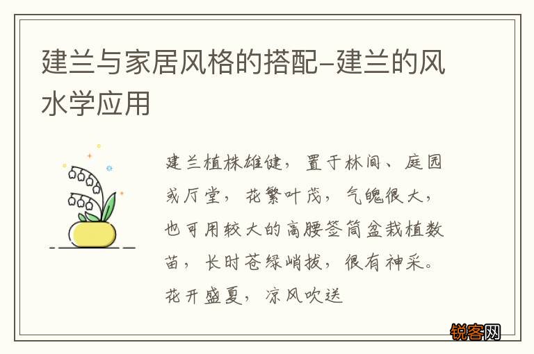 建兰与家居风格的搭配-建兰的风水学应用