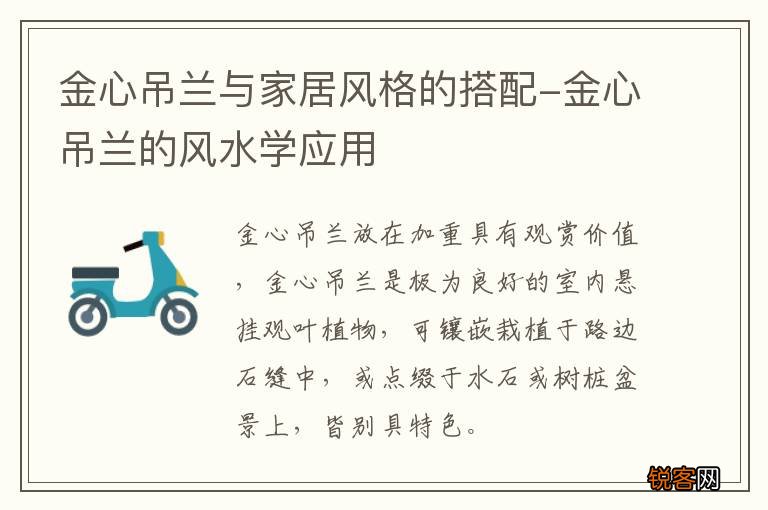 金心吊兰与家居风格的搭配-金心吊兰的风水学应用