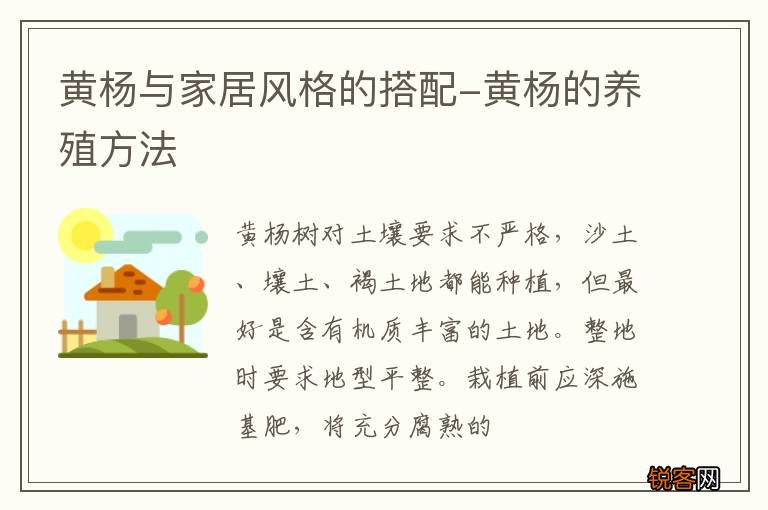黄杨与家居风格的搭配-黄杨的养殖方法