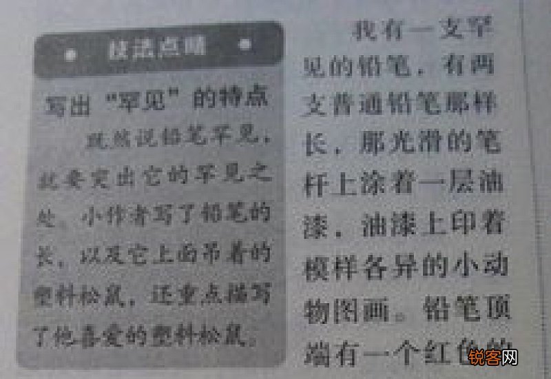我的心爱之物作文500字精选10篇