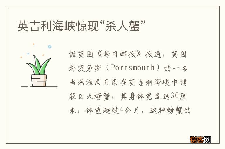 英吉利海峡惊现“杀人蟹”