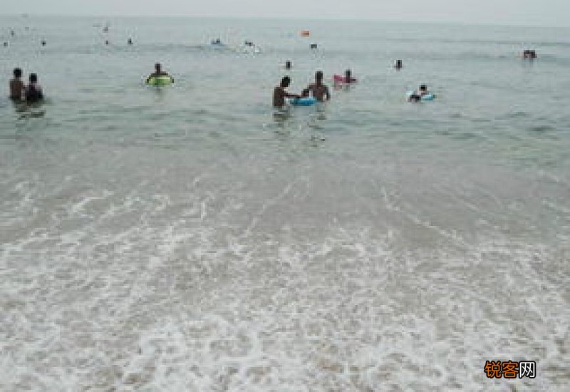 养马岛在哪里赶海