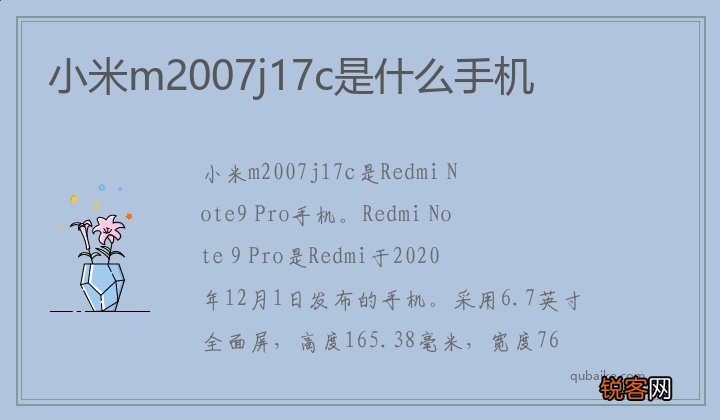 小米m2007j17c是什么手机