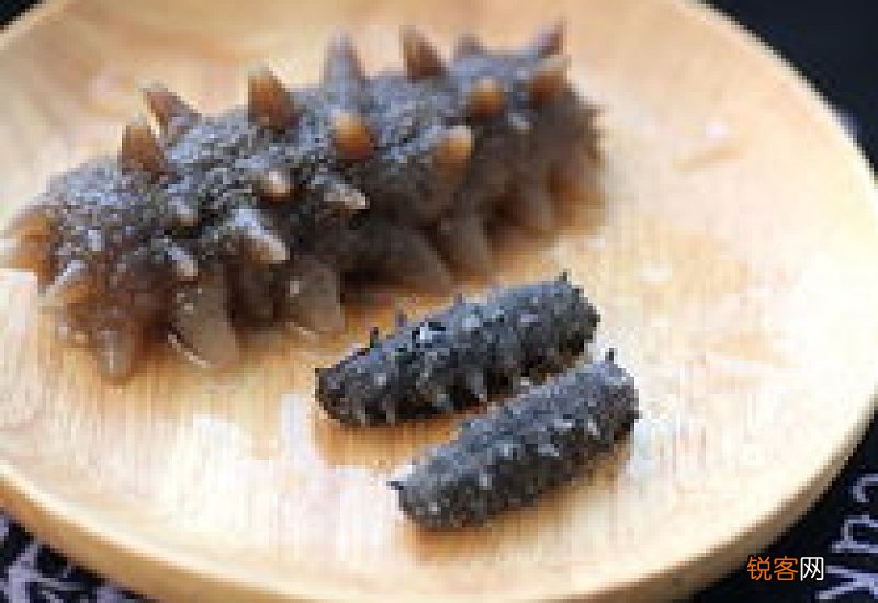 怎么泡发干海参